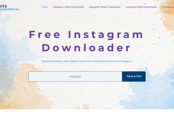 Insta Downloader developed by The Web Gorup